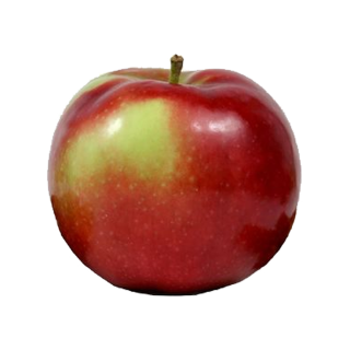 McIntosh Apple