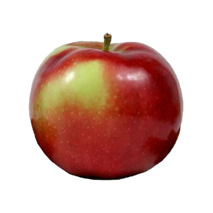 McIntosh Apple